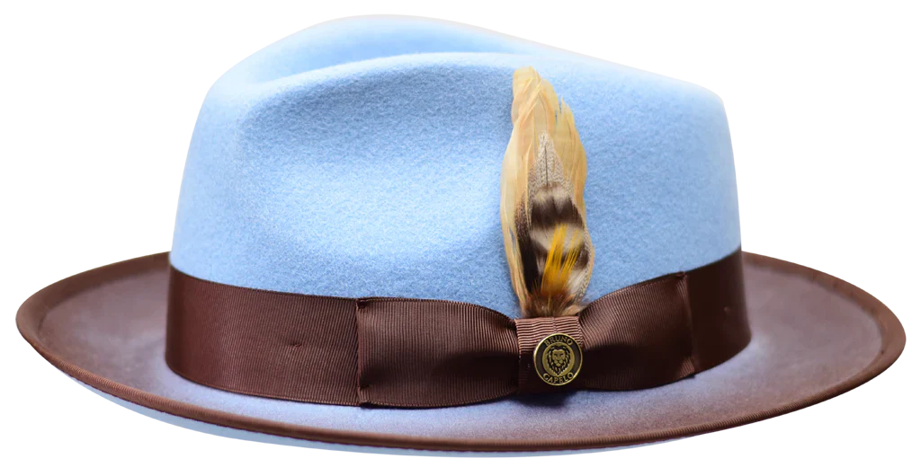 Sky Blue-Brown Men's Wool Hat Fashion Design Felt Fedora New Yorker Collection